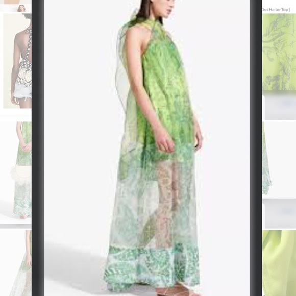 Rare STAUD Neem Printed Georgette Organza Sequined Hem Maxi Dress Unique - Picture 4 of 12